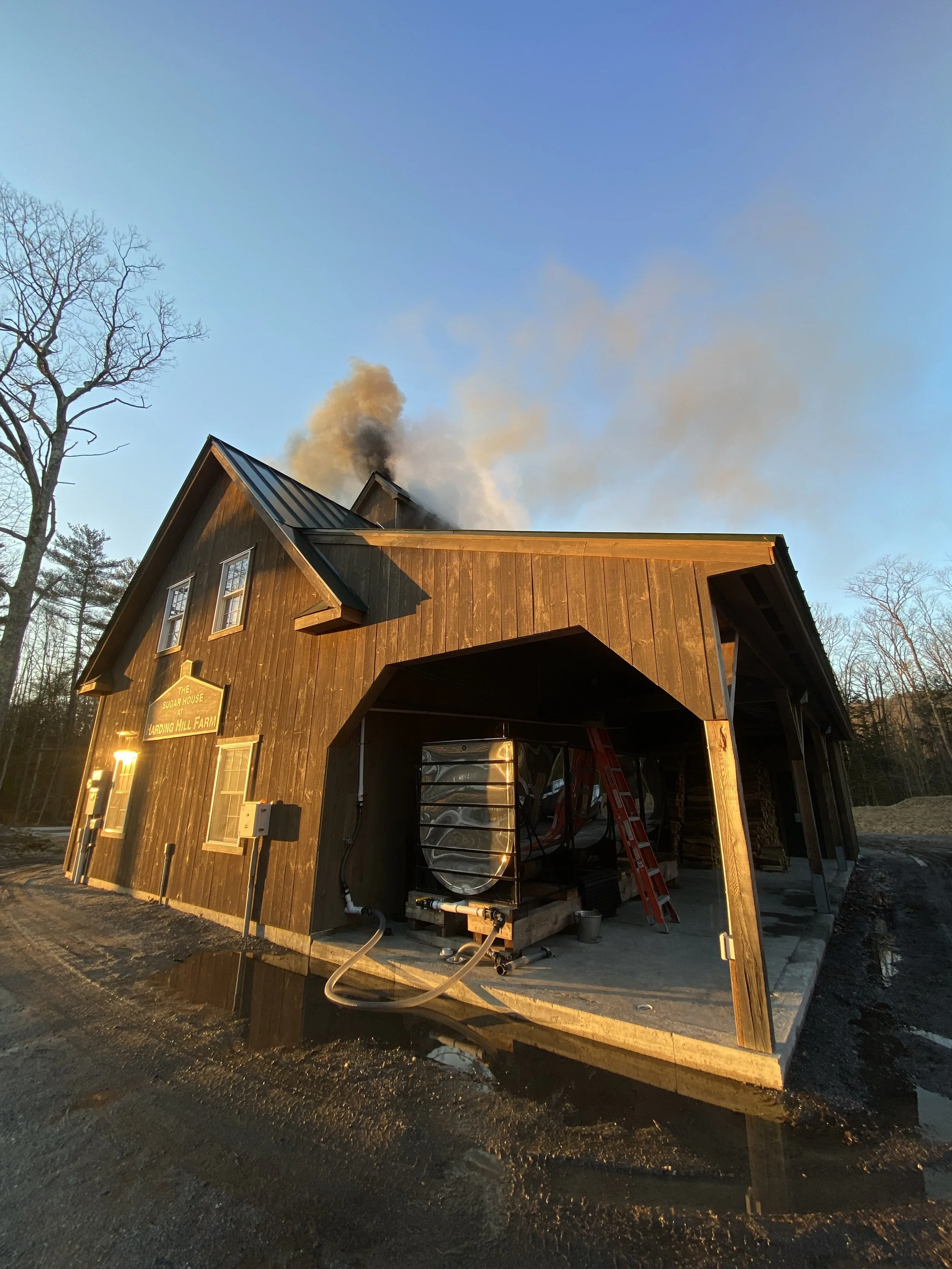 HHF 2022 Maple Updates - Week 3