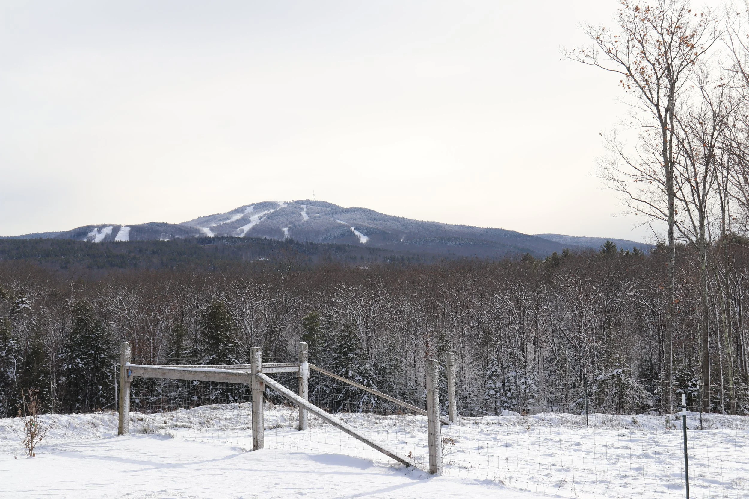 Holiday Open Sugarhouse