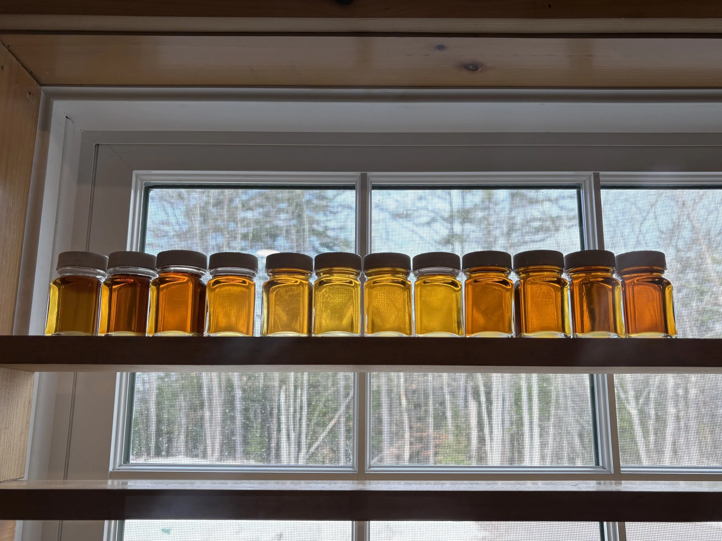 2026 Maple Season Week Two