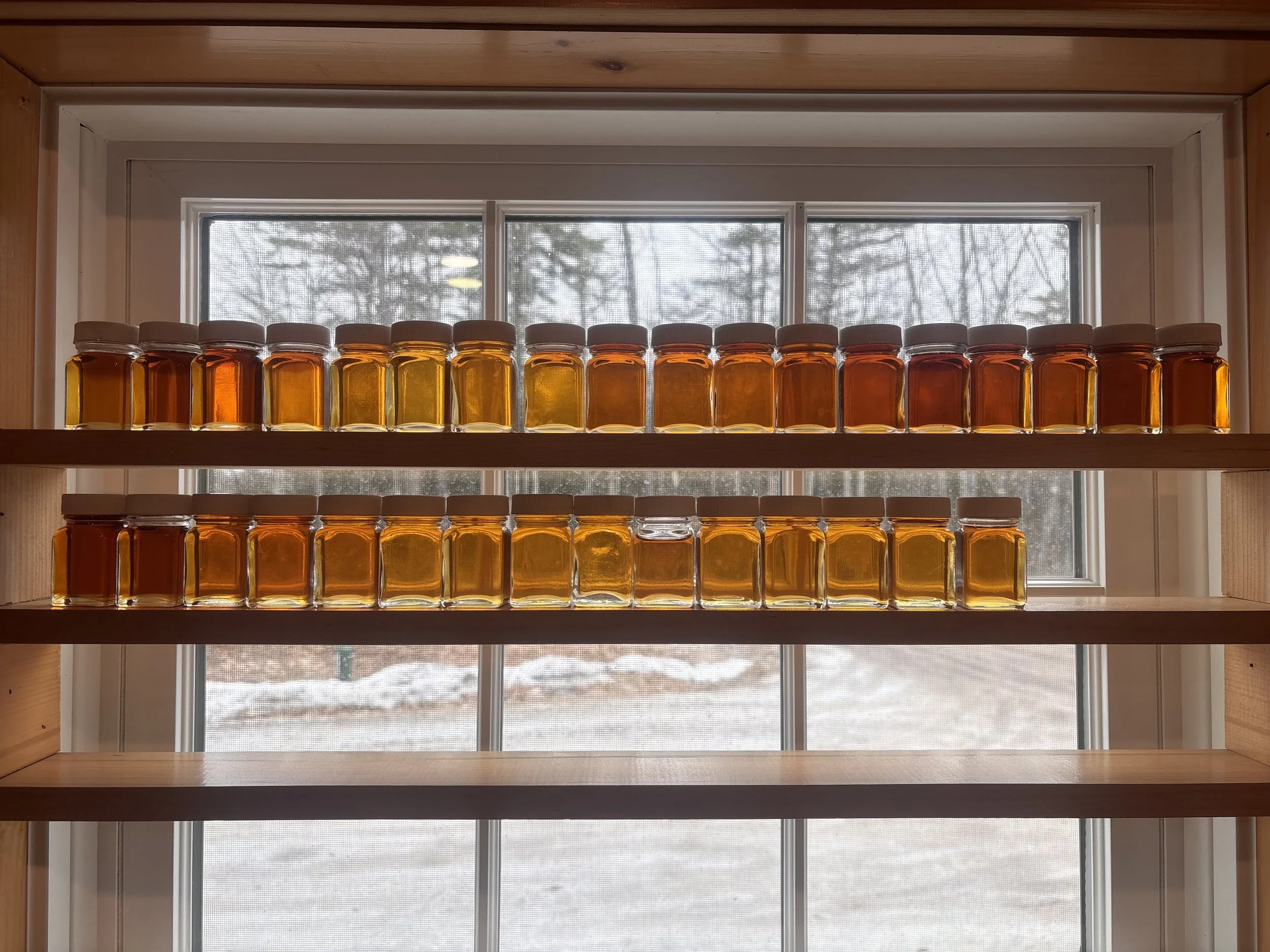 2026 Maple Season Week Three