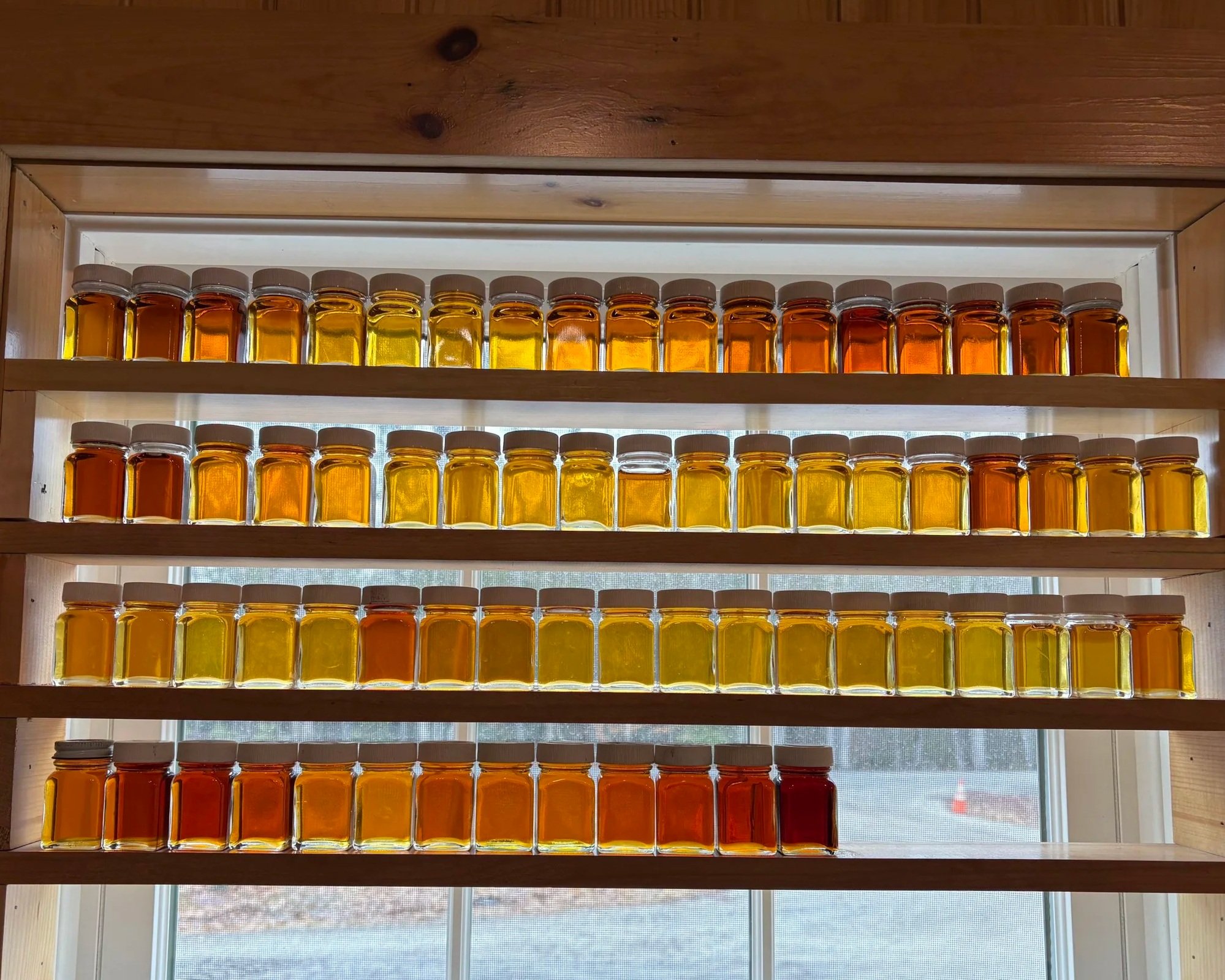 2026 Maple Season Week Five