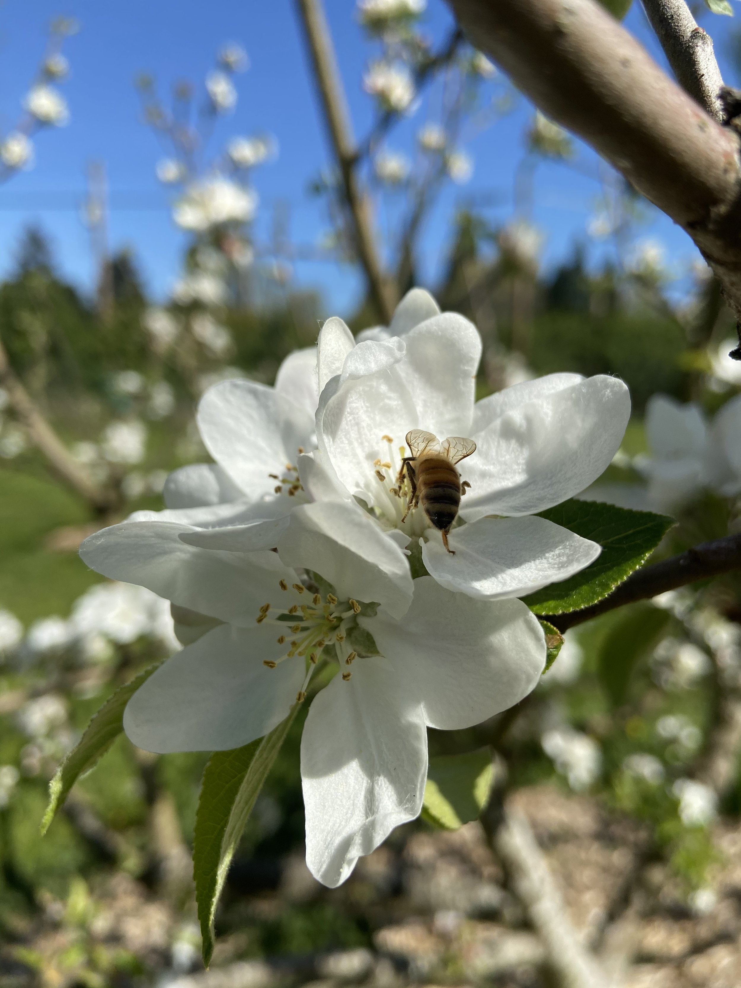 IMG_1573.jpeg