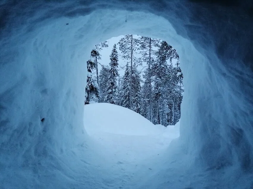 Living in the Arctic