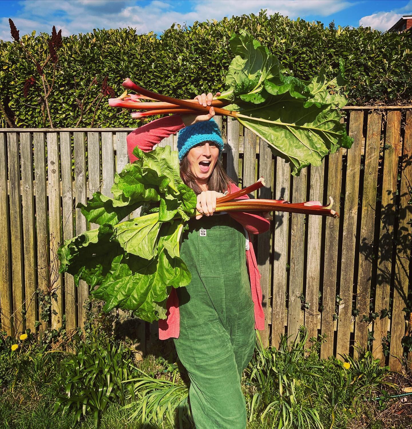When you accidentally dress to match your rhubarb! 🌱🌱🌱 🤣

#rhubarb #homegrown #homegrownveggies #homegrownfood #rhubarbcrumble #rhubarbcake #gardening #growyourown #growyourownfood #coordinated #colorcombination #crumble #cake #familygarden #allo