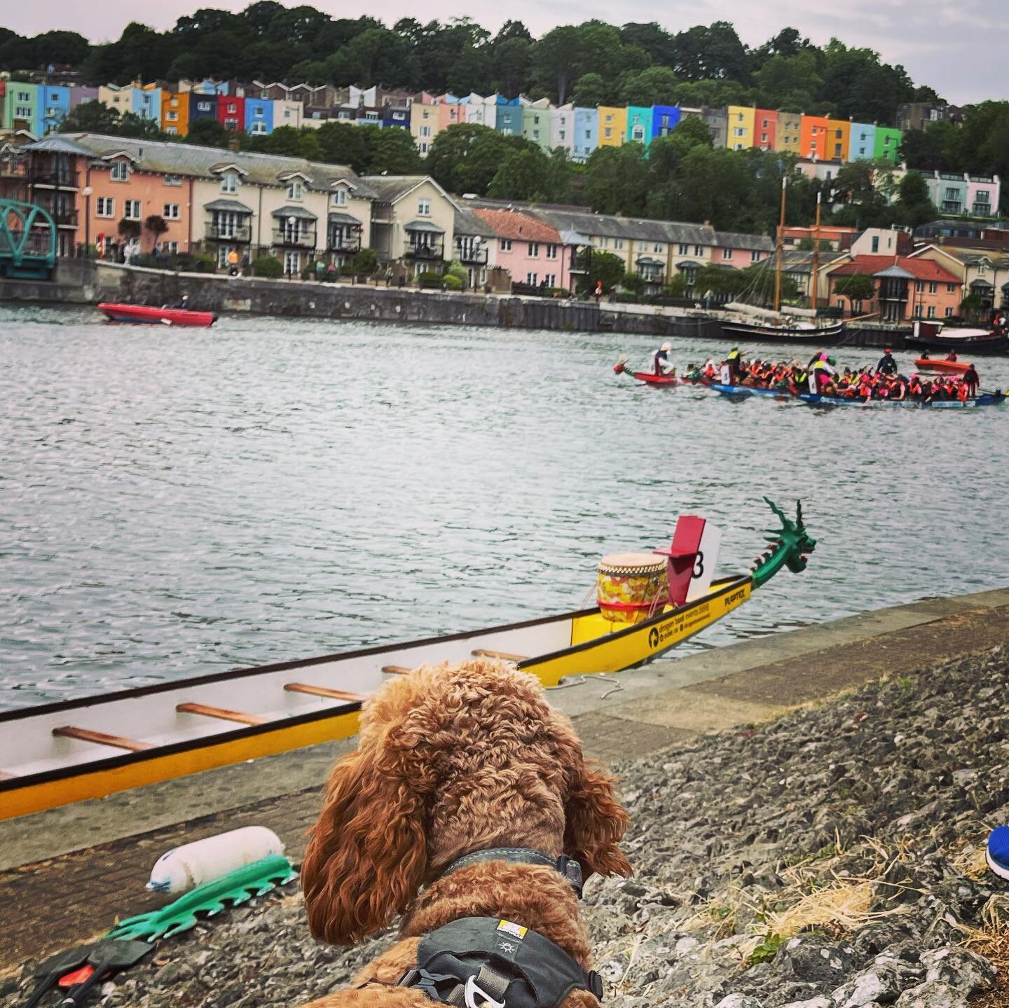 When I heard the chants and drumming echoing across the city and the Bristol hillsides, I knew todays Dragon Boat Festival was going to be a good one&hellip;

🥁🥁🥁

The energy each participant brought to their boats and the racing left us buzzing, 
