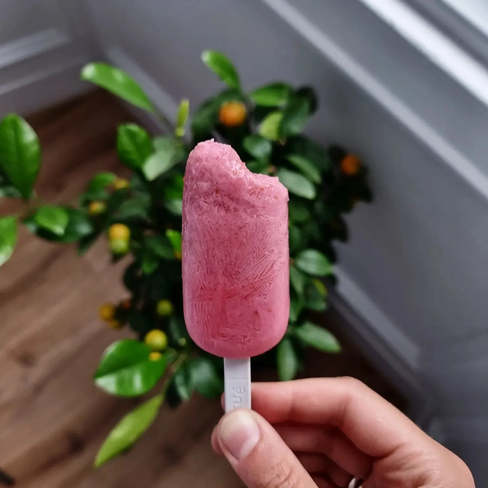 Raspberry Ice Lolly — Claudia Criswell Nutrition