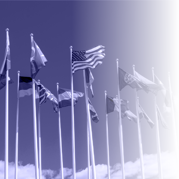 Foreign Policy Considerations