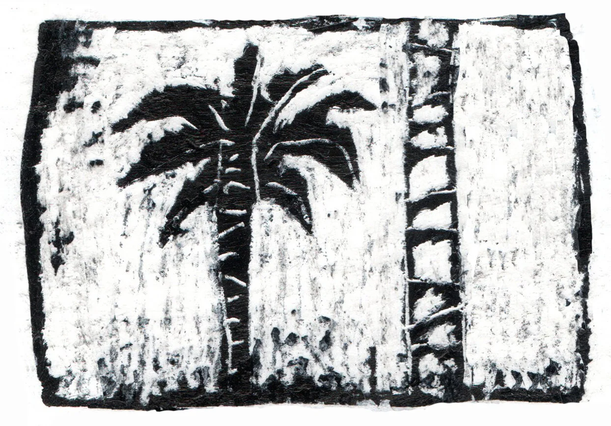 folletoCONTRATAPA 3 copia.jpg