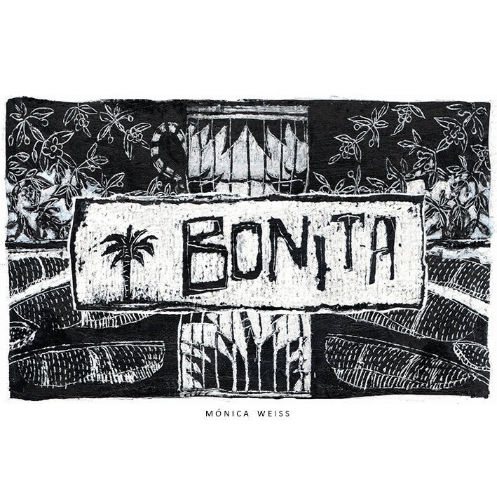 z BONITA FDO inst120 copia.jpg