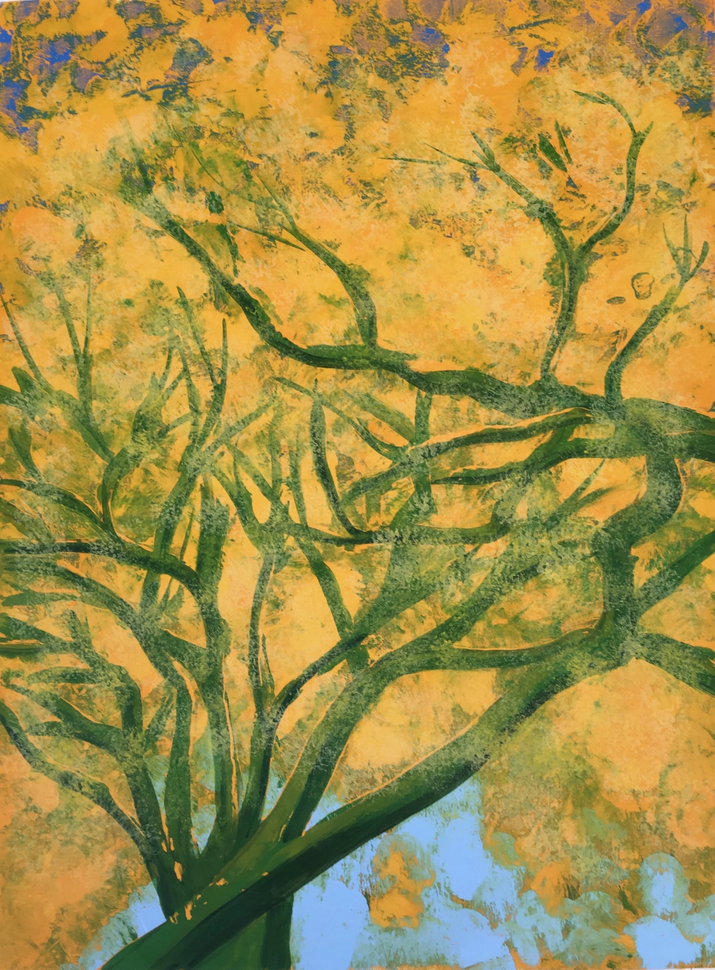 Vidrio_Golden Canopy_monosilkscreen print_ 30x24_�300.jpeg