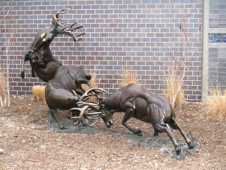 Fighting Bucks Bronze Whitetail Deer Sculpture