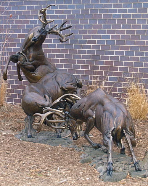 Fighting Bucks Bronze Whitetail Deer Sculpture