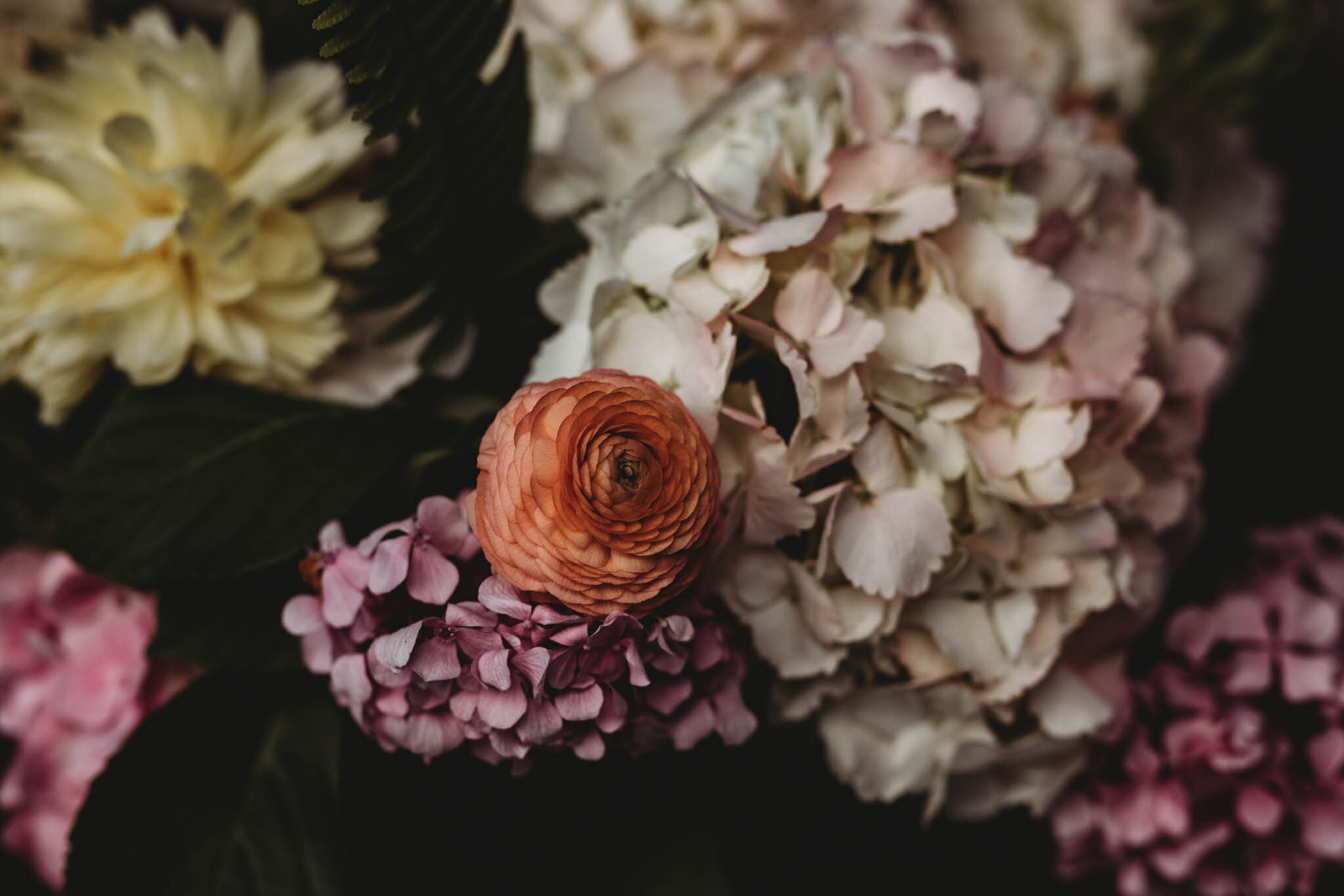 20190615_1392.jpg