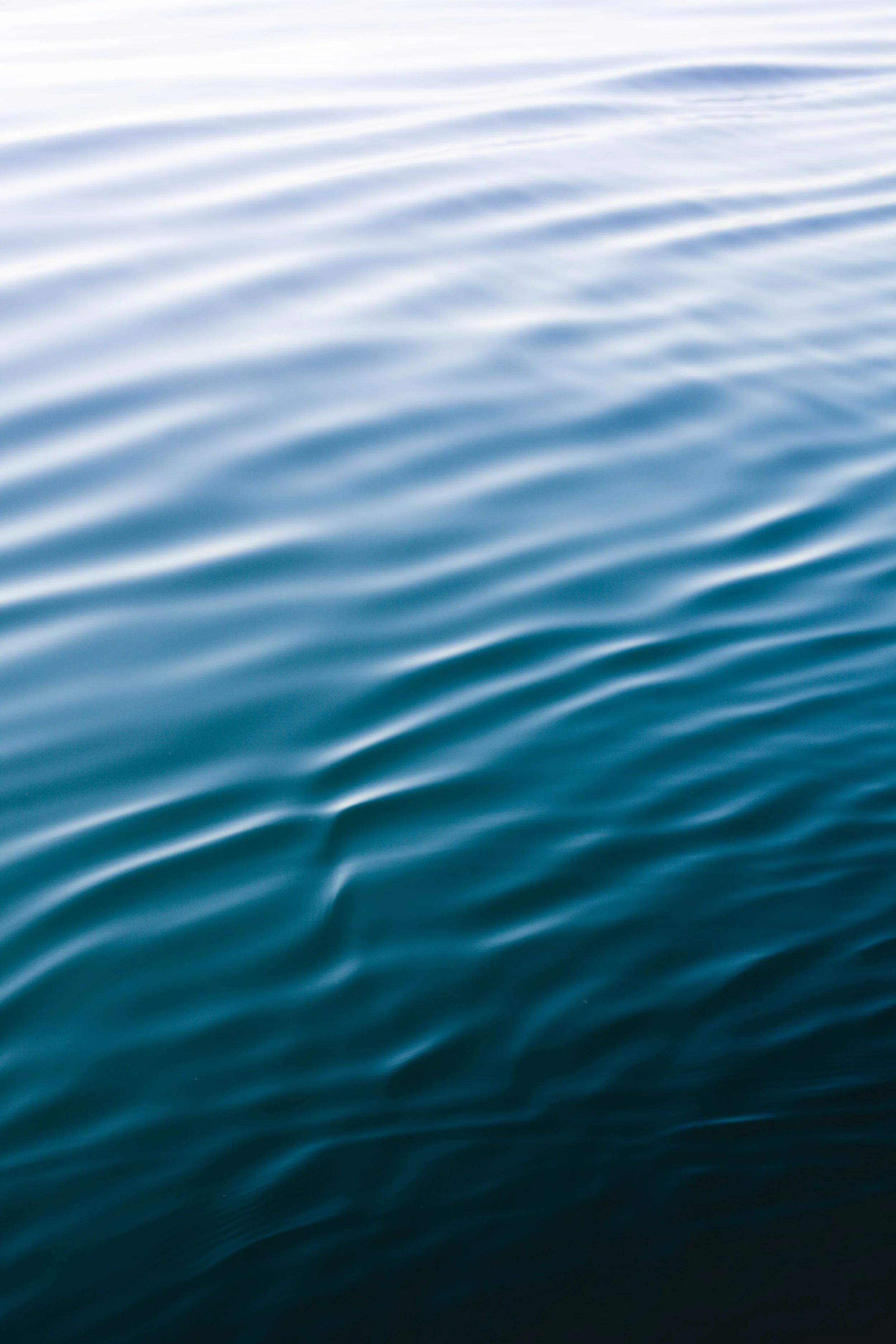 20180511_0143.jpg