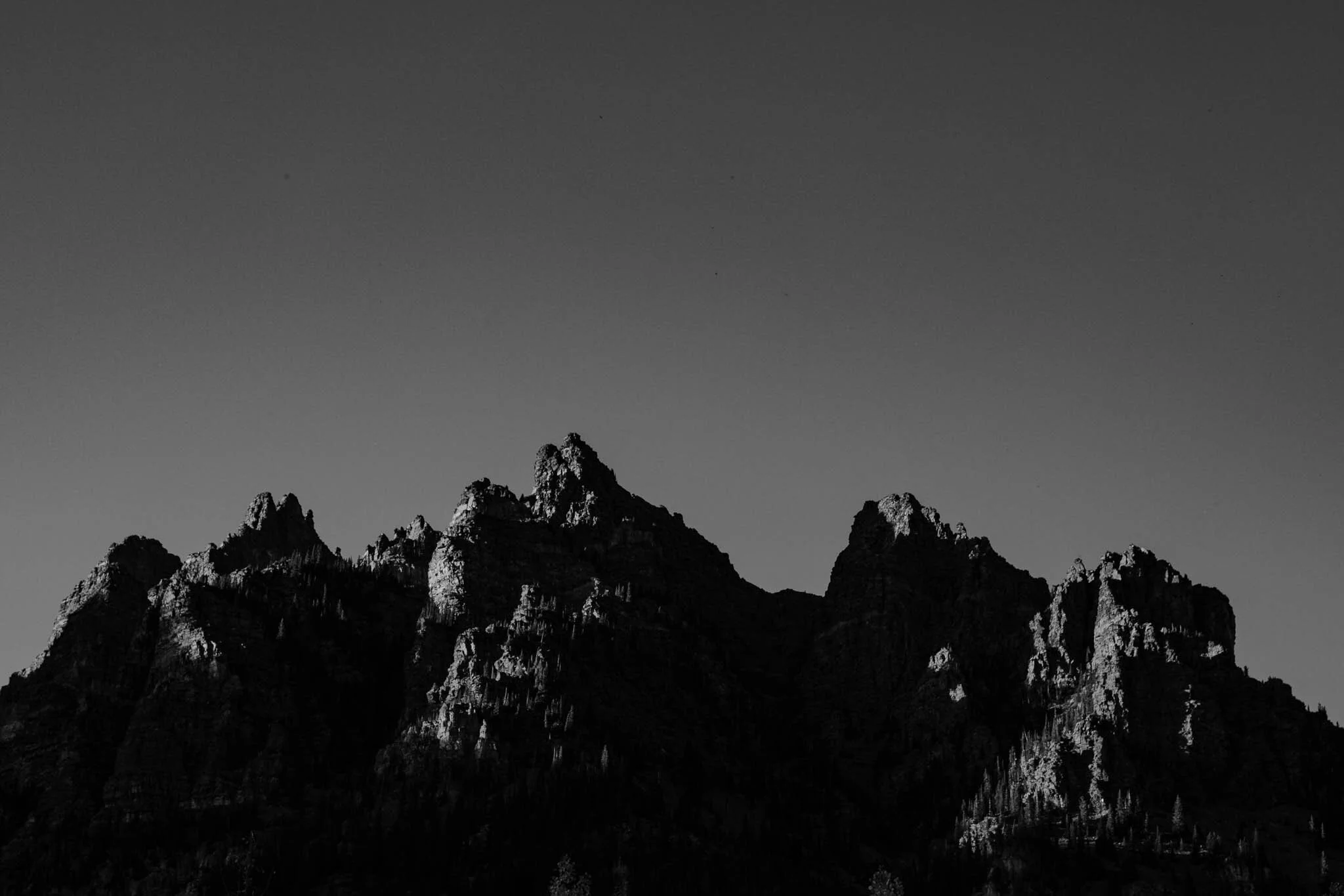 20191005_0445-2.jpg