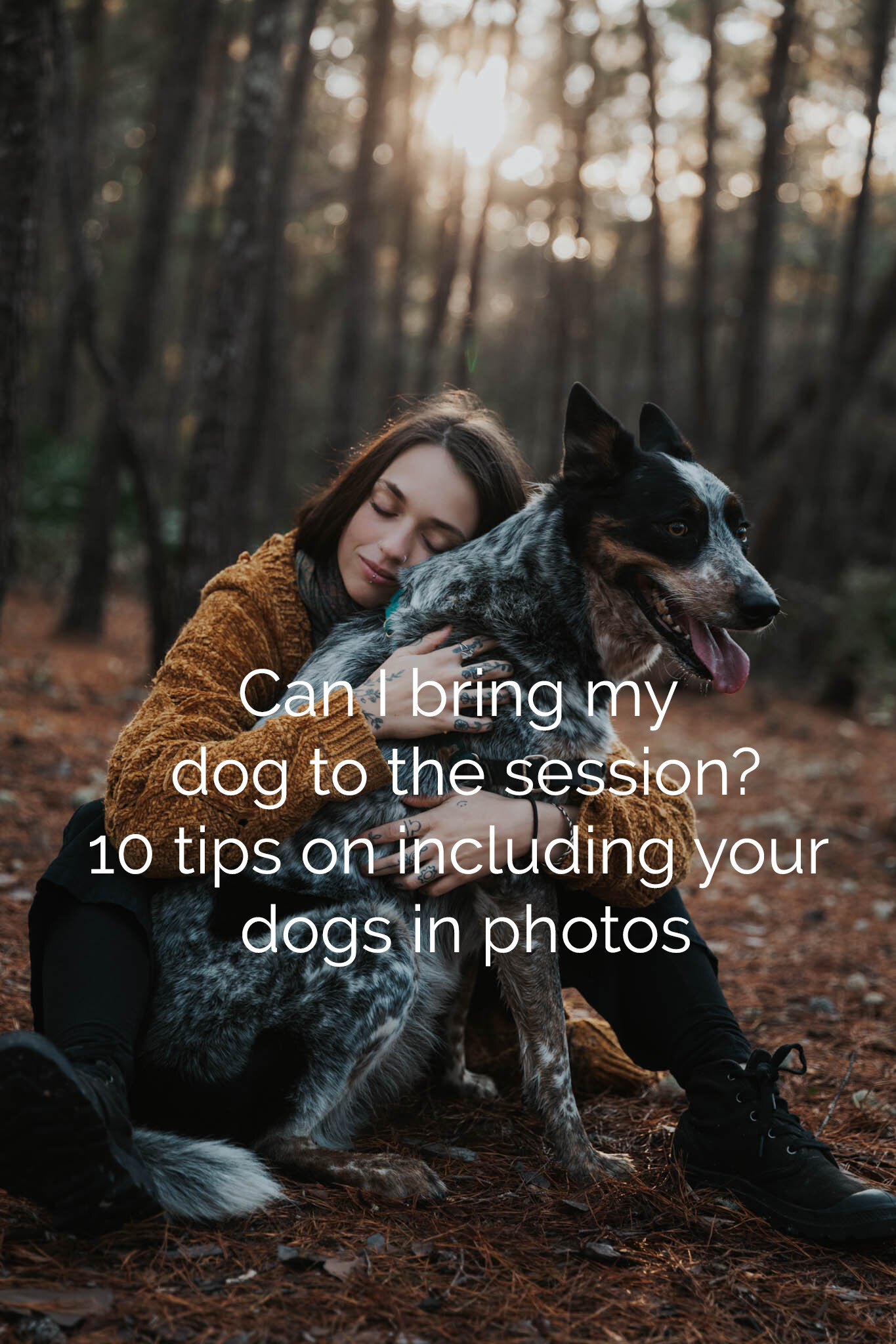 Can I bring my dog to the session? 10 tips for bringing dogs to your photoshoot plus a few of my favorite pet portraits!