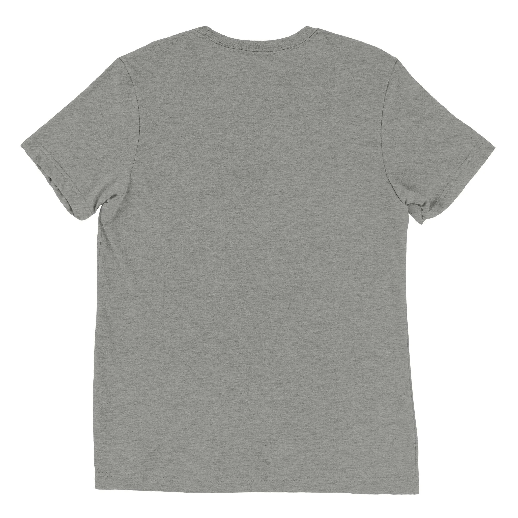unisex-tri-blend-t-shirt-athletic-grey-triblend-back-69618a2e03963.jpg