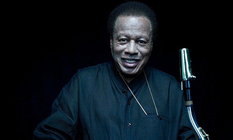 The Great legendary 
Wayne Shorter passed today.
He has given us such
a treasure trove of recordings of his compositions and
improvisations!
I feel so blessed to have been able to
share some amazing 
creative experiences
with him.
He was a beautiful 