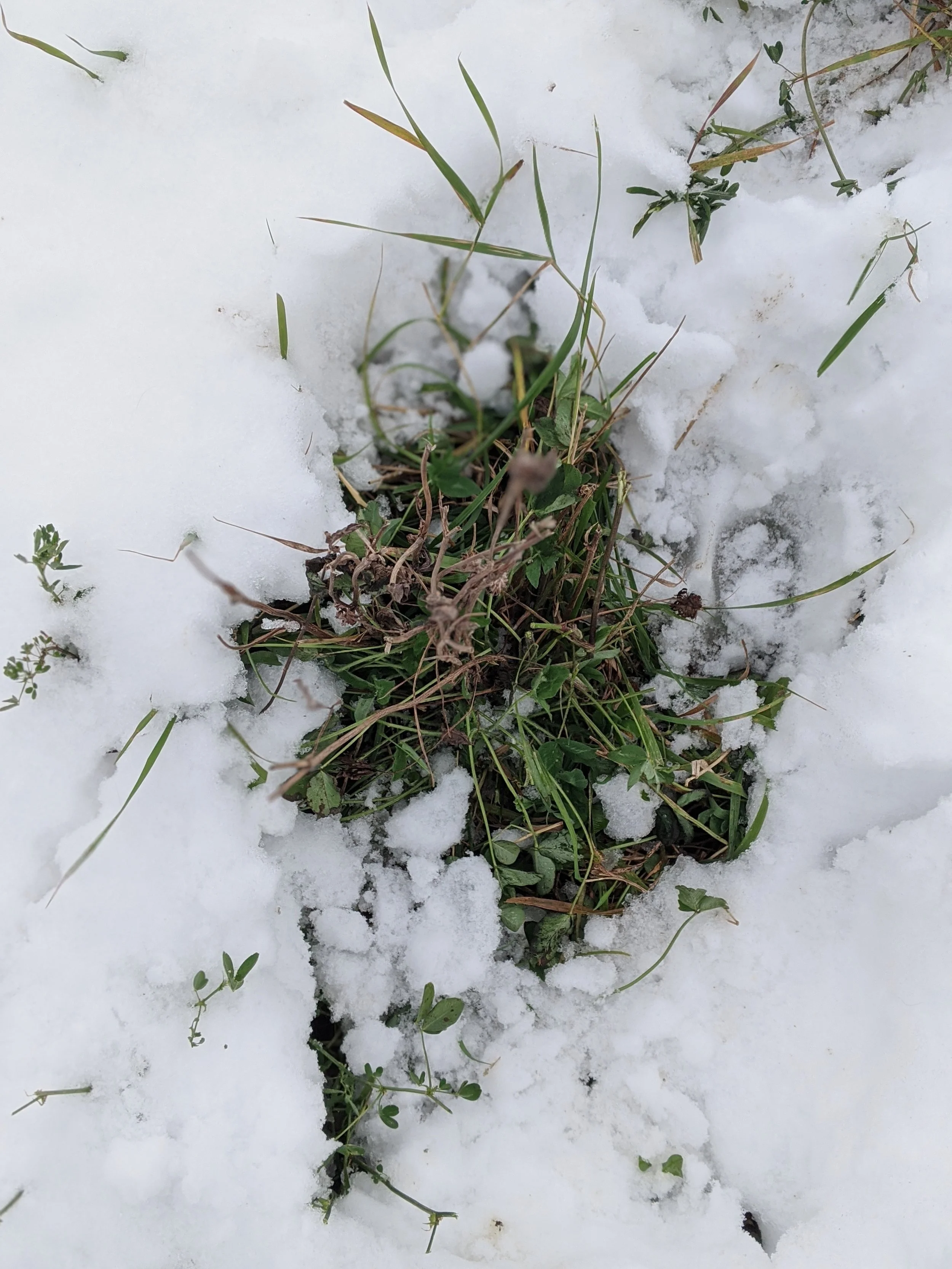 The Fence Post Exchange