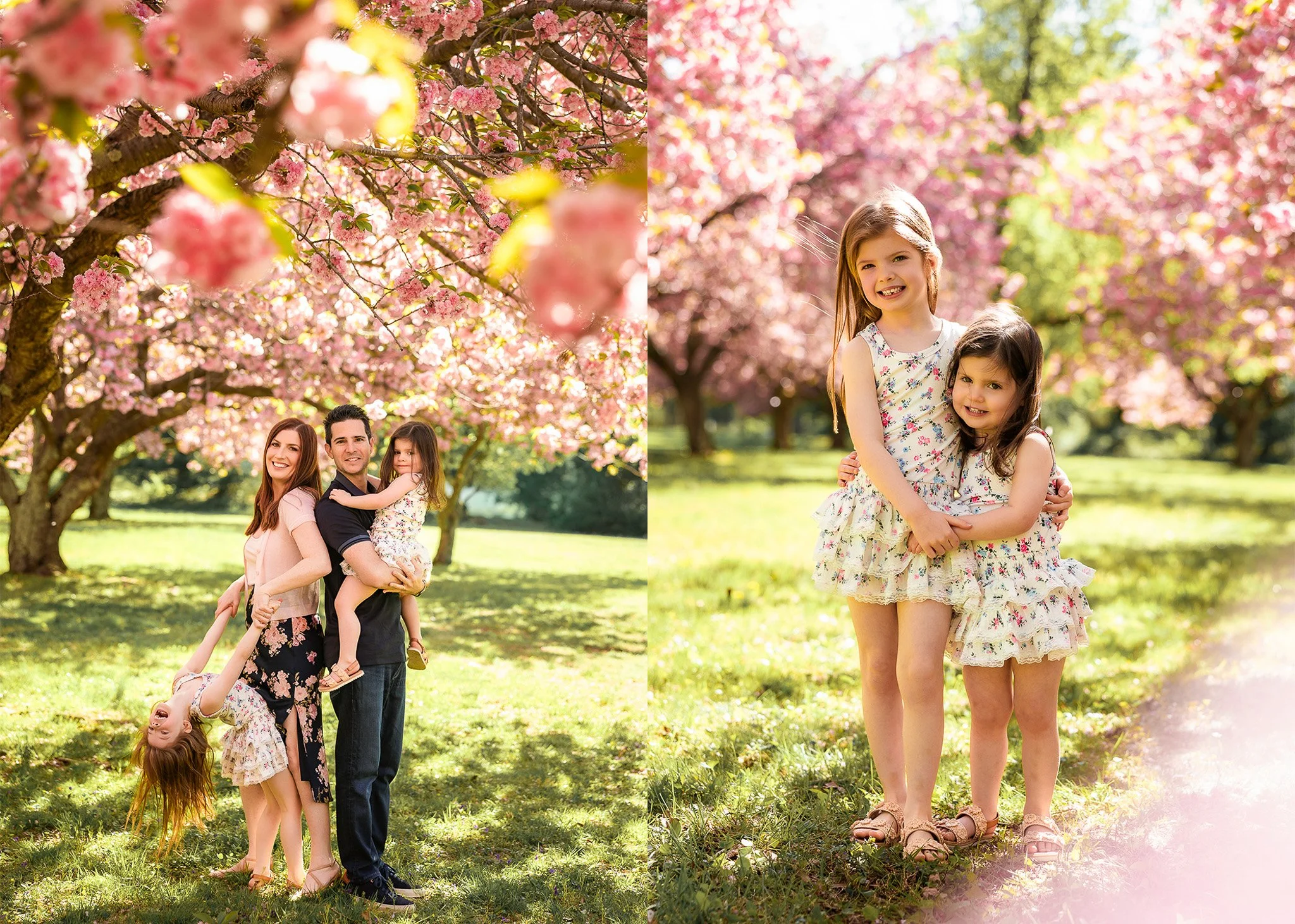 cherry 2-2.jpg