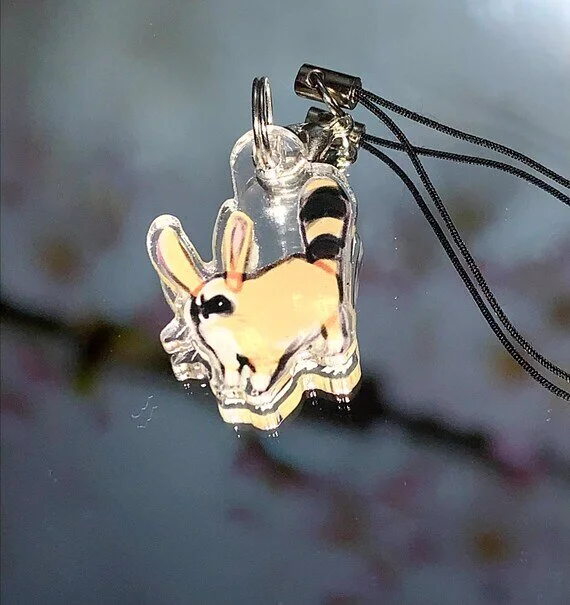 https://i.etsystatic.com/20870703/r/il/db09fc/3002221533/il_570xN.3002221533_d2dq.jpg