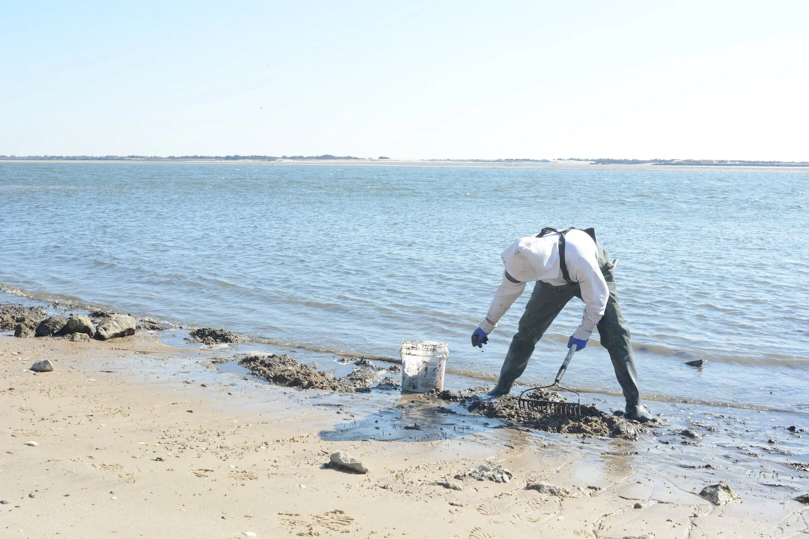 Great South Bay Cuisine, "Bay to Plate"