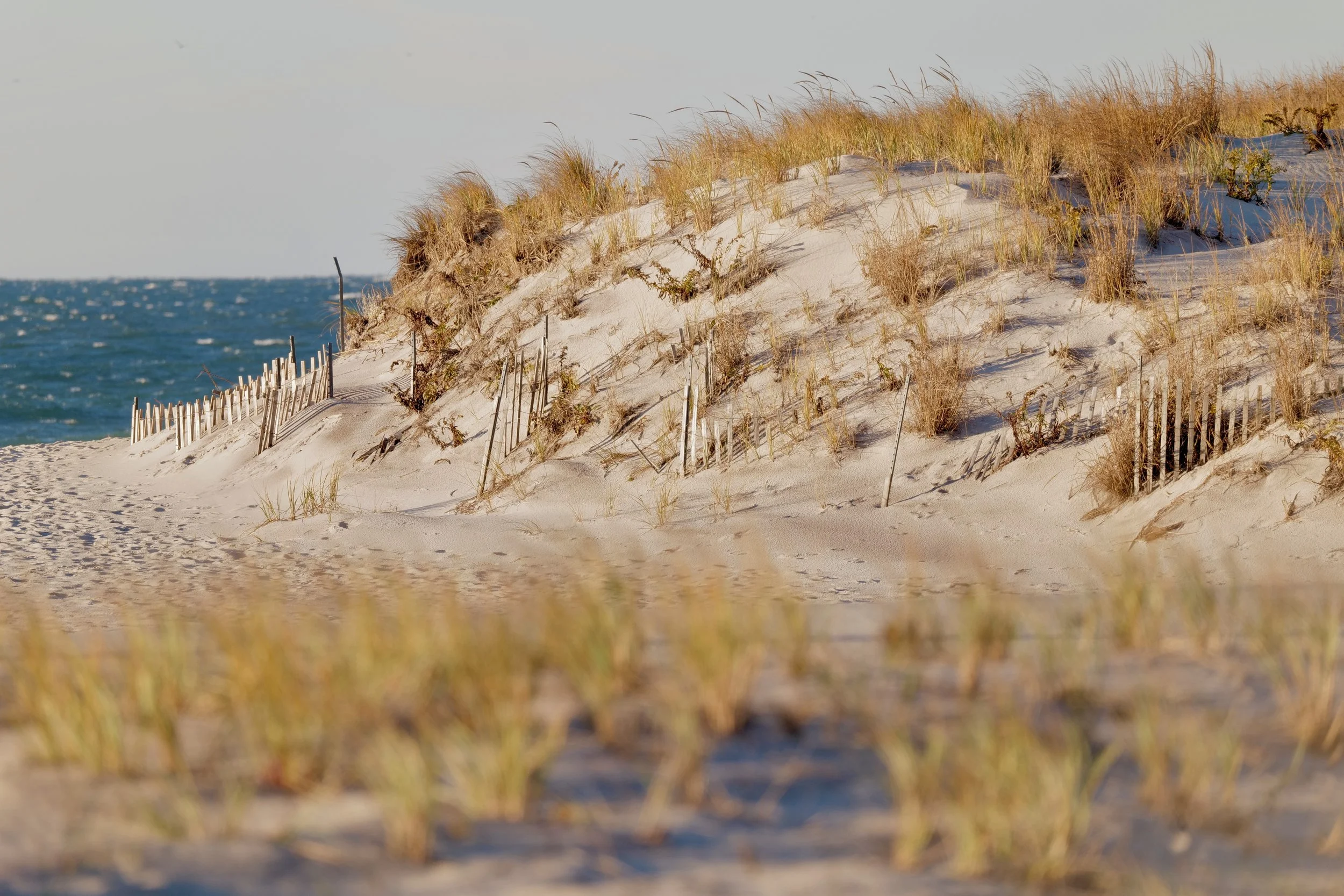 Robert Moses Novemeber 27 - 3.jpeg