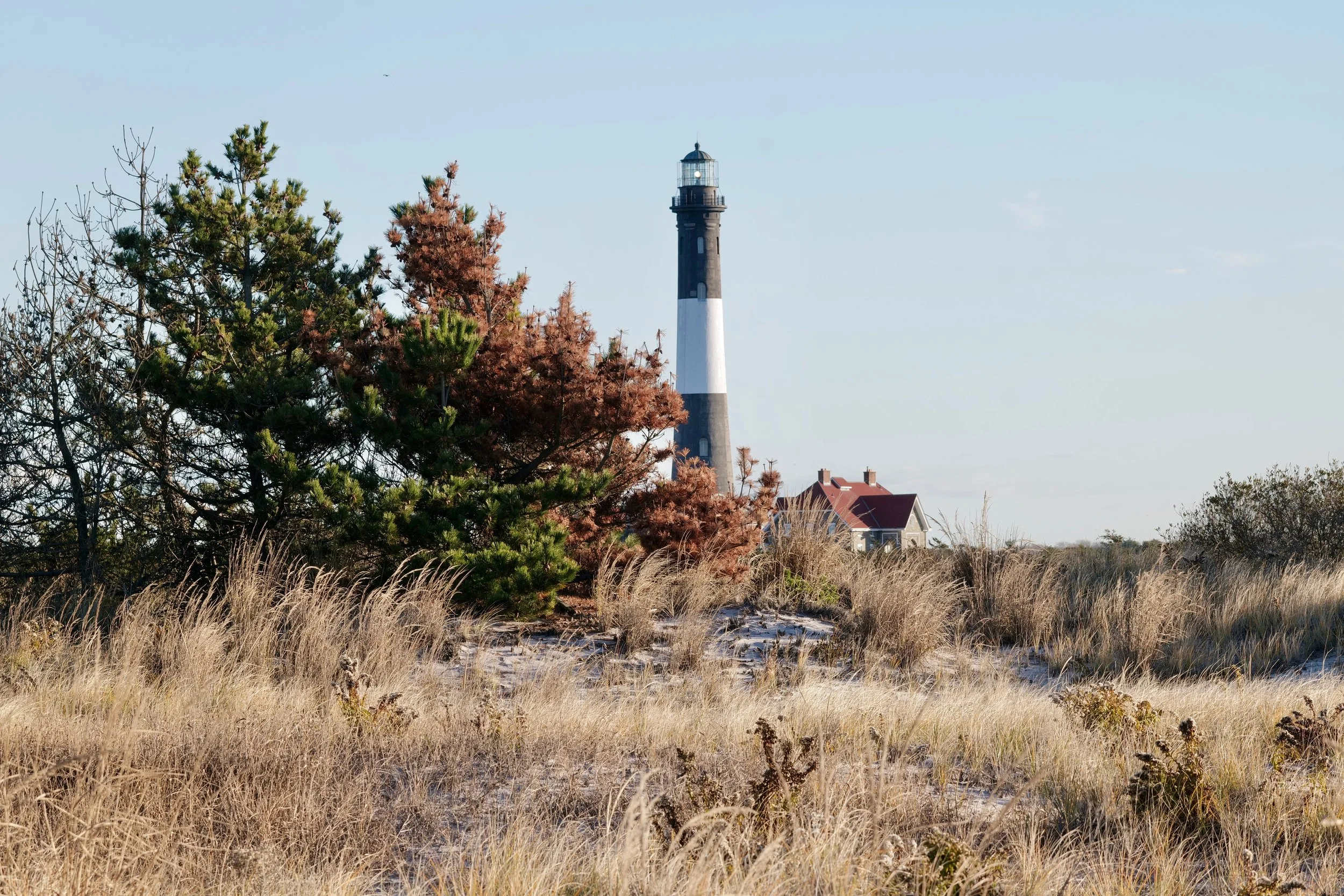 Robert Moses Novemeber 27 - 6.jpeg