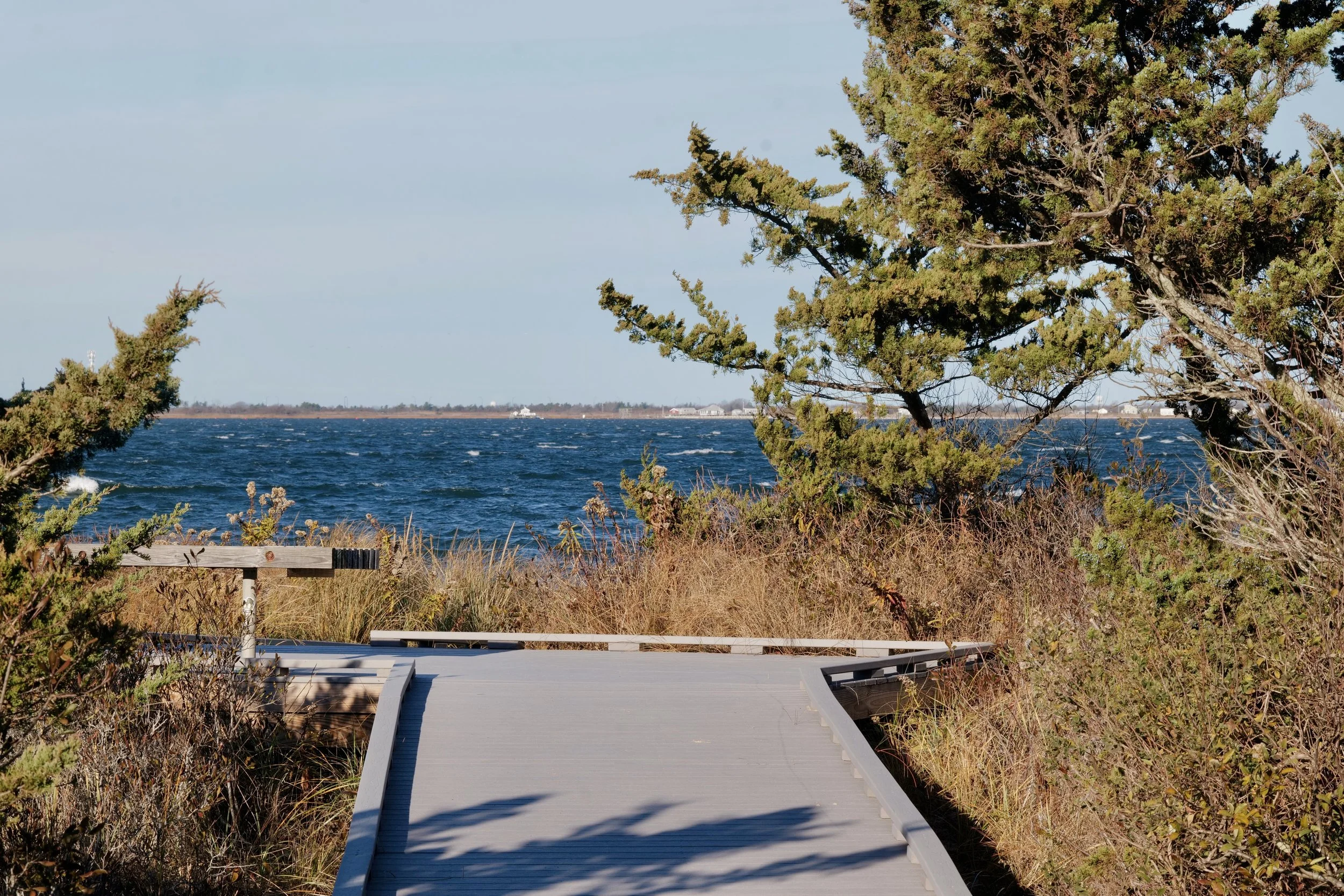 Robert Moses Novemeber 27 - 7.jpeg