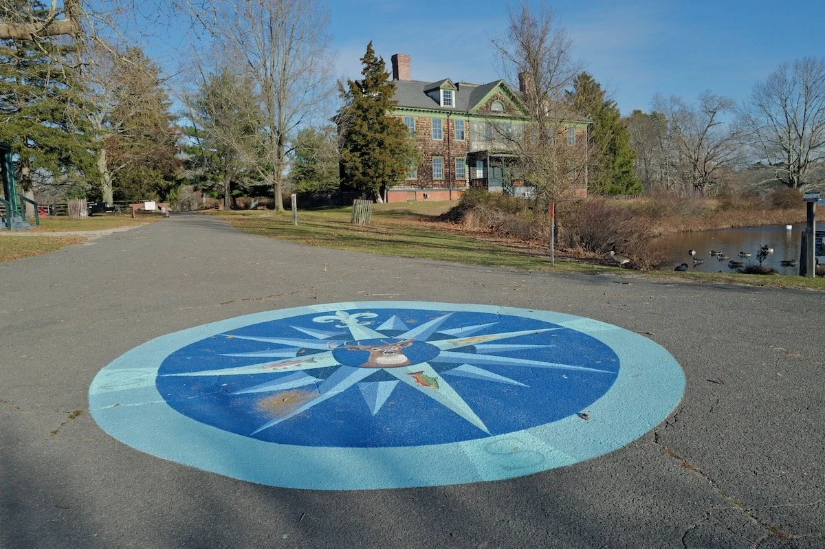 Almost Lost in Connetquot River Park Preserve
