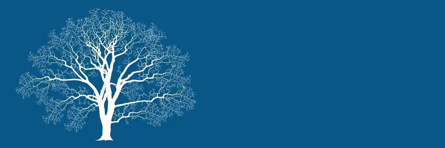 Thrive Web Banner Reverse V3.jpg