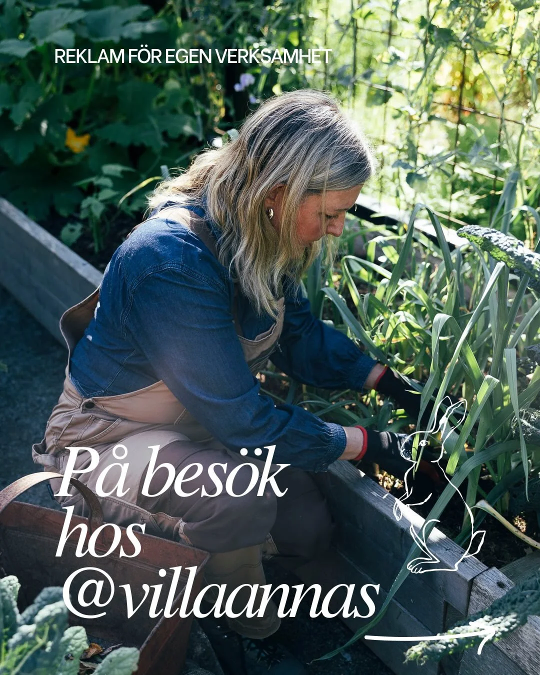 Reklam f&ouml;r egen verksamhet 📸: Jag djupdyker i mitt arkiv av bilder. Dessa &auml;r fr&aring;n mitt bes&ouml;k hos @villaannas och tror vi alla m&aring;r lite bra av att se sommar s&aring;h&auml;r i februari. 

Annas tr&auml;dg&aring;rd &auml;r l