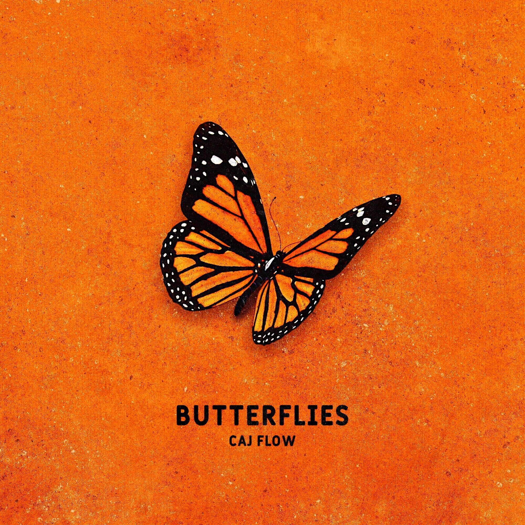 Бабочка обложка. Альбом с бабочками. Обложка альбома Butterfly. Обложка музыкального альбома с бабочкой. Бабочки альбом музыки.