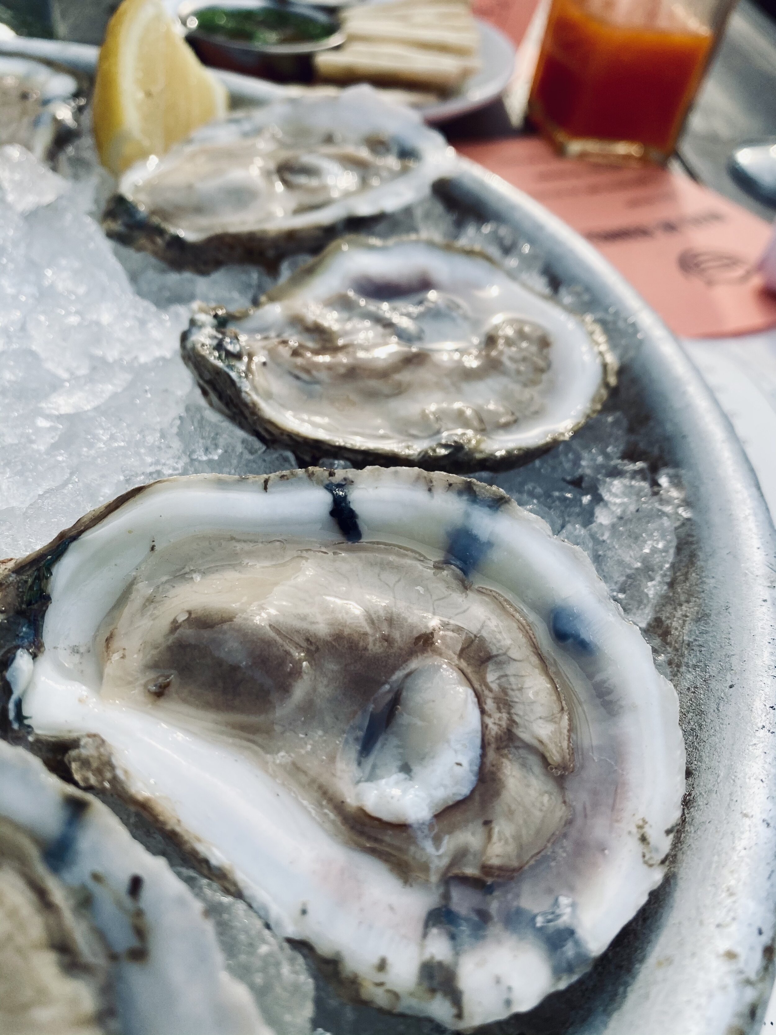 Jade The Trapper Oysters