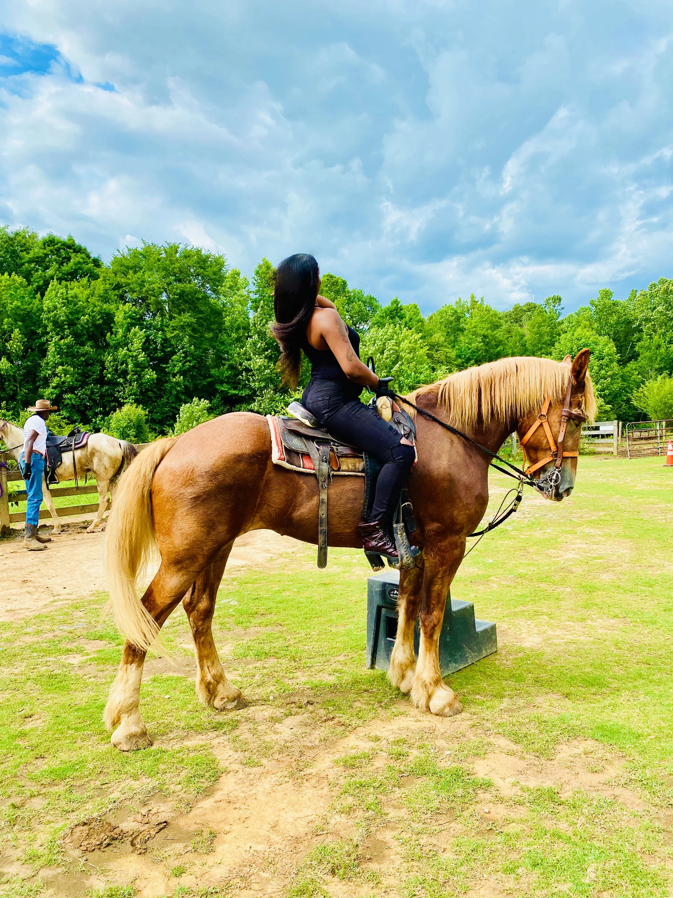 Pony.MP3