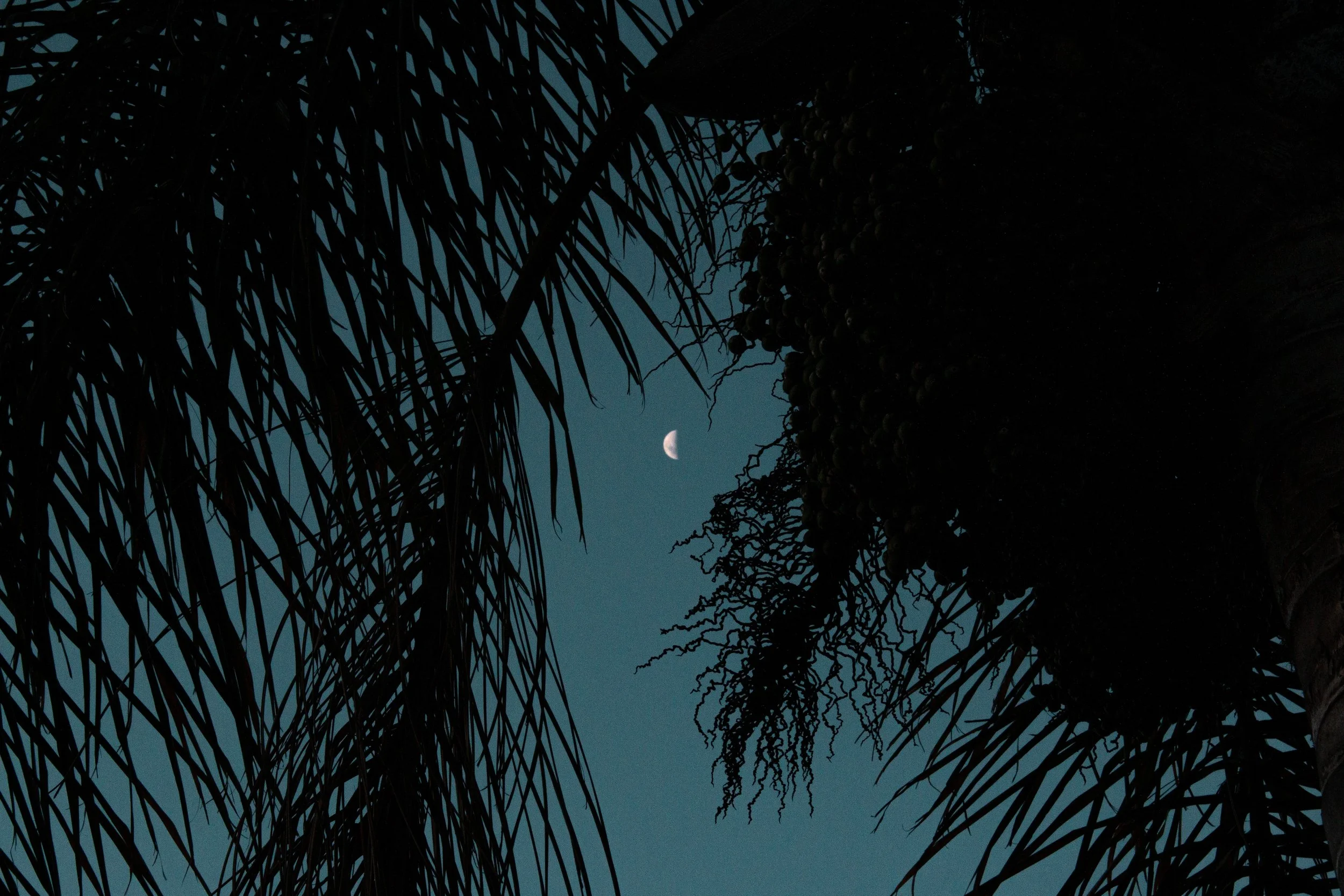 pexels-jose-zeka-4294773.jpg