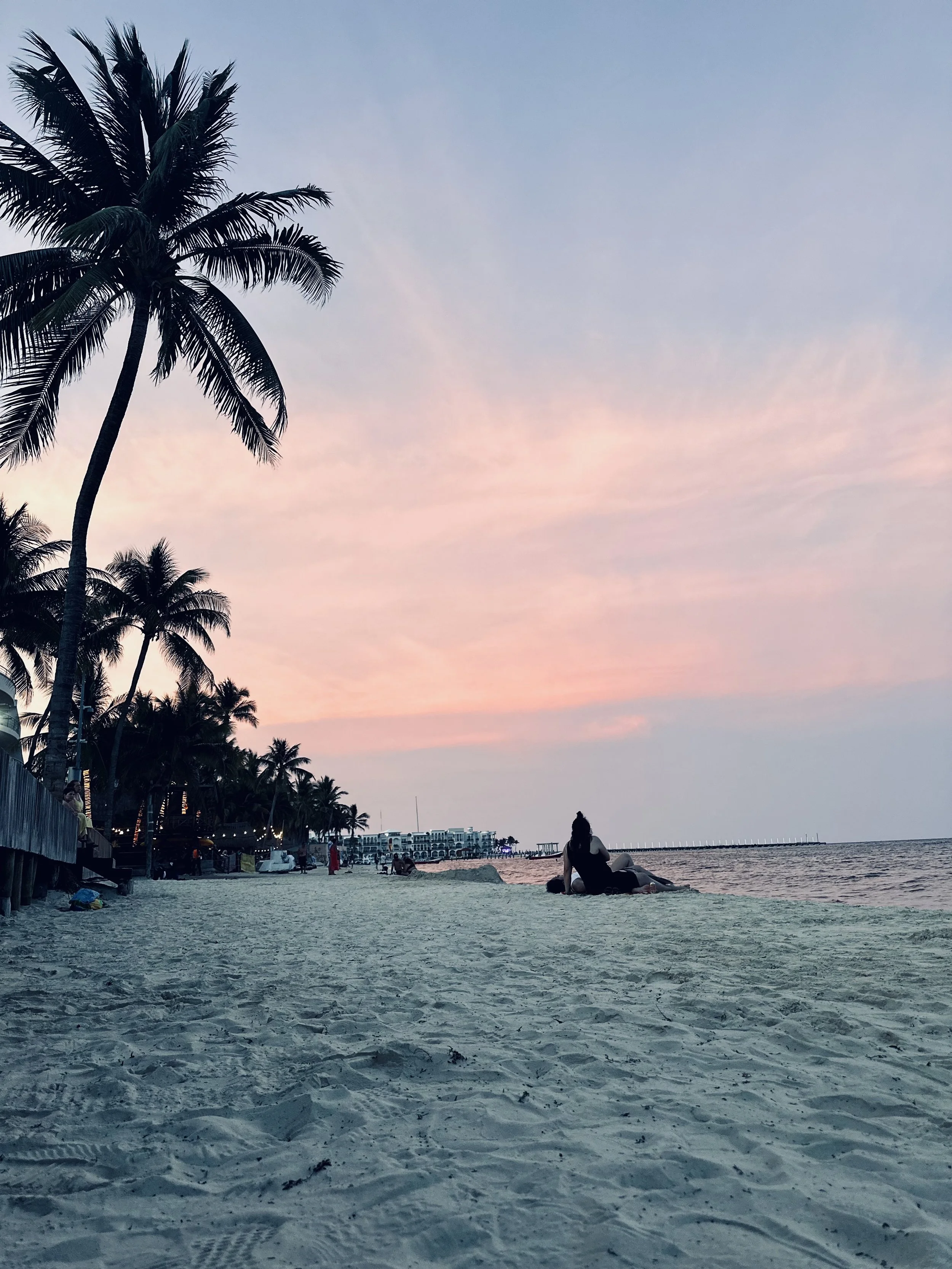 One Night Only Pt.2 ( Tulum)