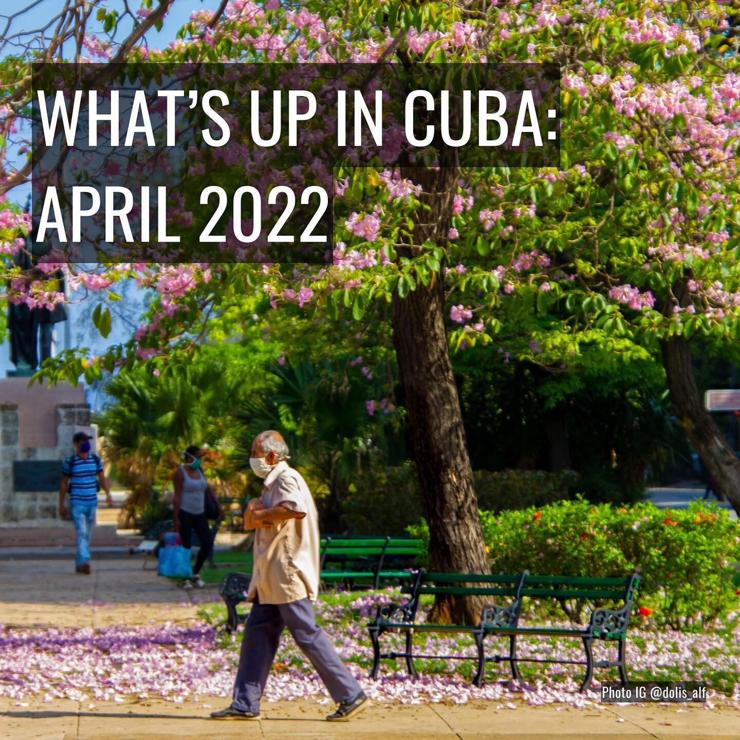 As April, the month of the flower, comes to a close, we came up with our shortlist of this past month's important events, popular news and music, as well as a MUST follow IG account @mentoras_creativas from Cuba. Check out our short summary and stay 