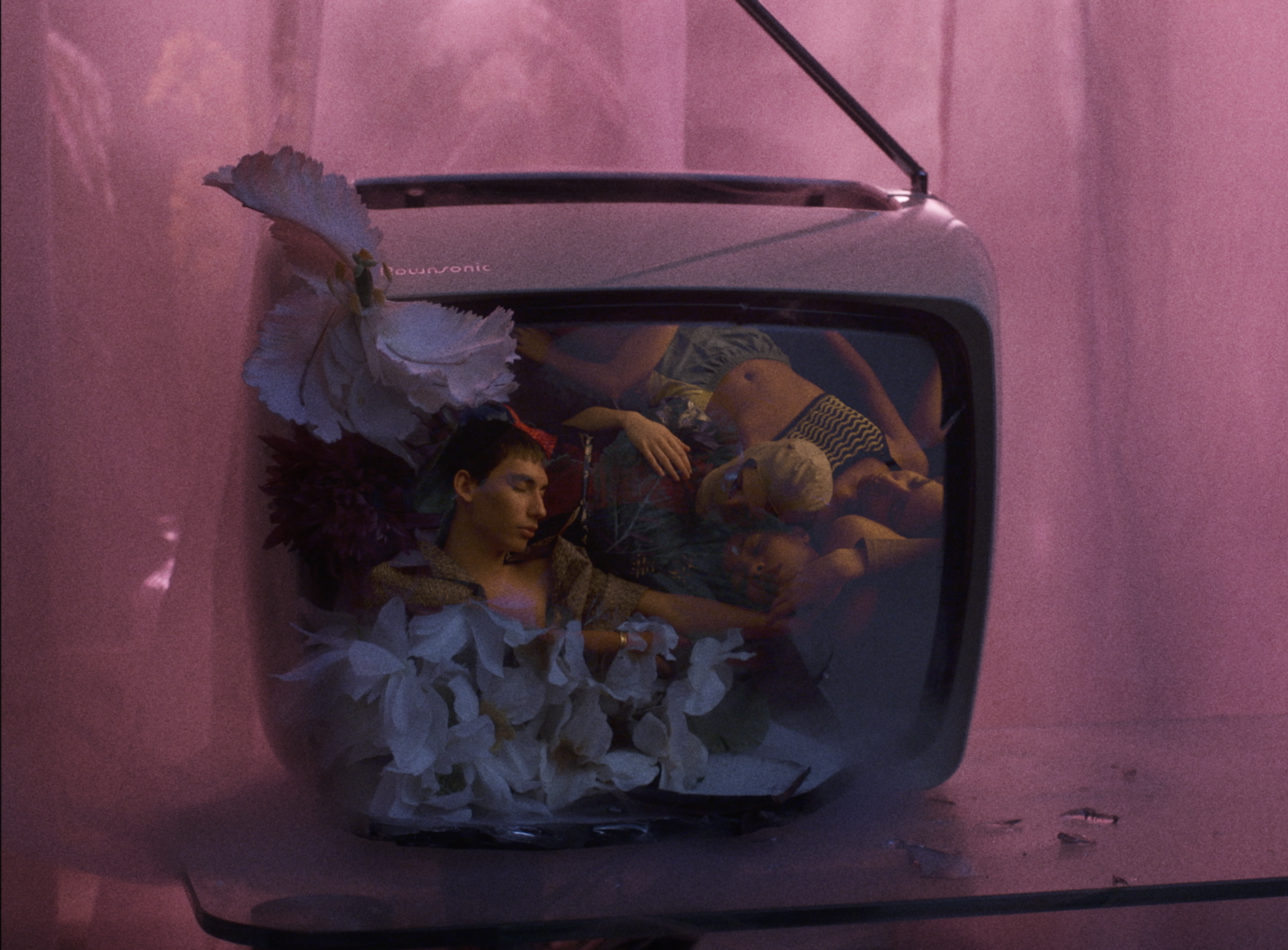 L'AMAZONIE BRÛLE ENCORE