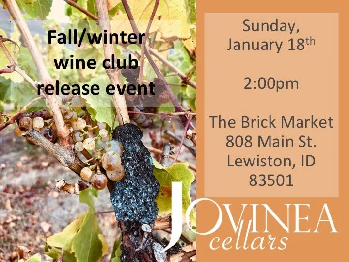 Wine club release event