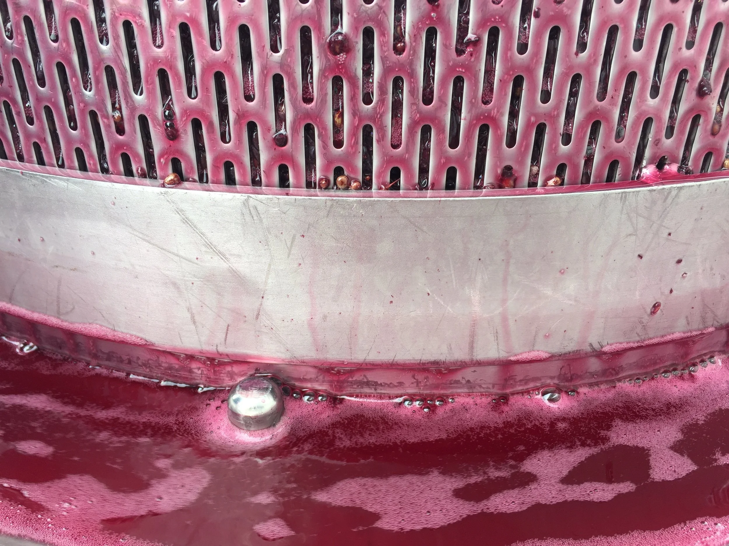 Silky or Chewy Wine Texture Tasting