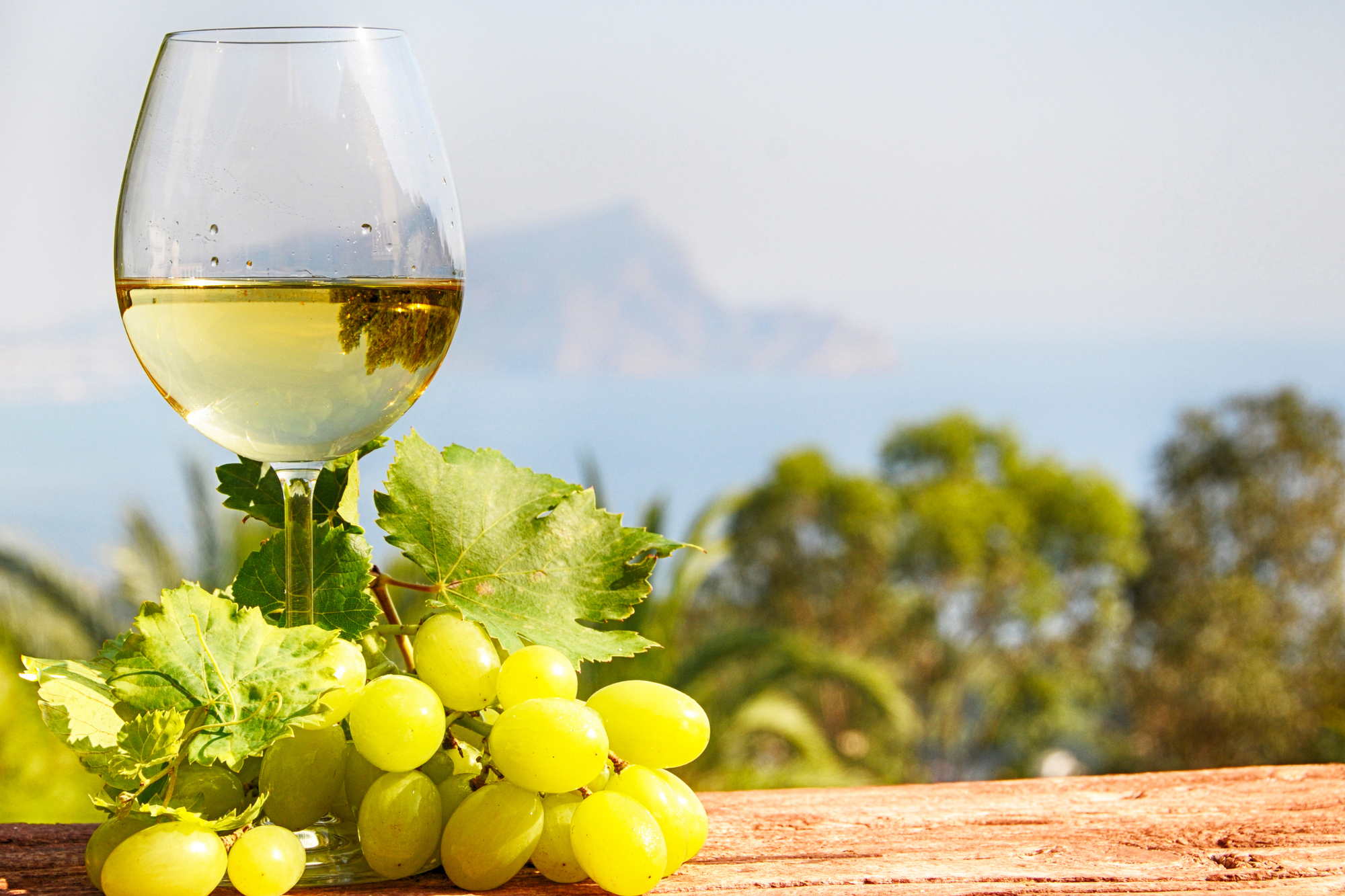 Under the Tuscan Sun Wine Dinner