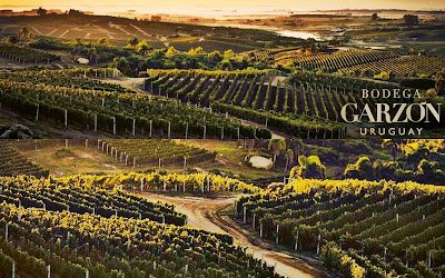 Bodega Garzon Wine Supper