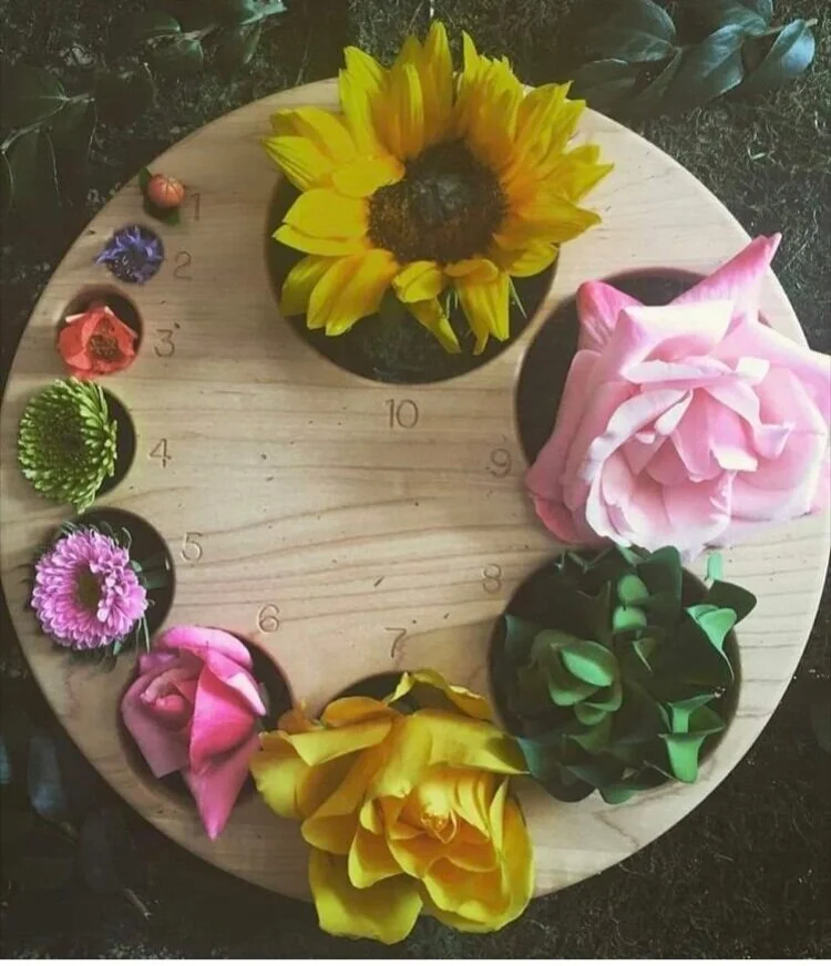 Pussy Witch Wisdom, Stitch &amp; Bitch #5 : Pregnancy &amp; Postpartum: Birth, Abortion, &amp; Miscarriage 