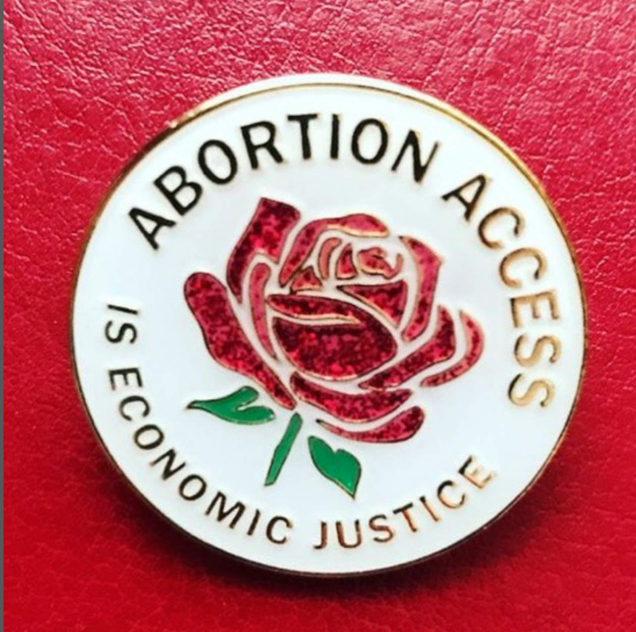 Abortion Options Anatomy &amp; Physiology&nbsp;