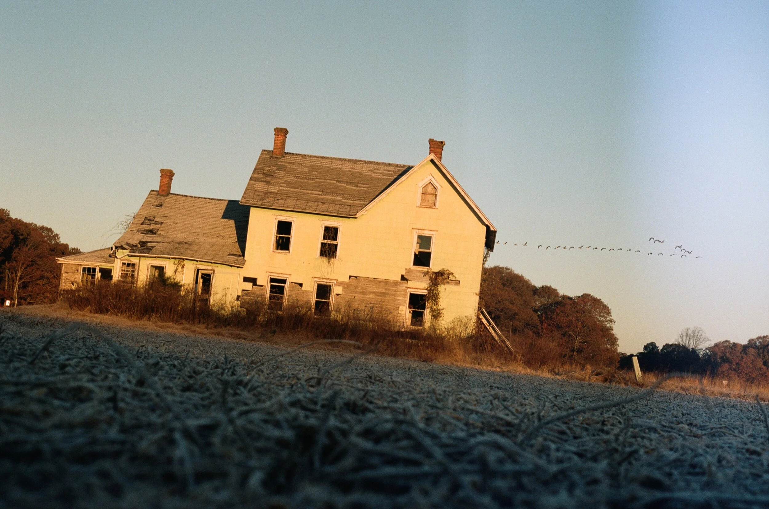 Virginia - Eastern Shore