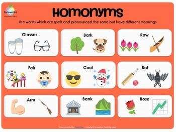 homonyms homophones and homographs lessons blendspace