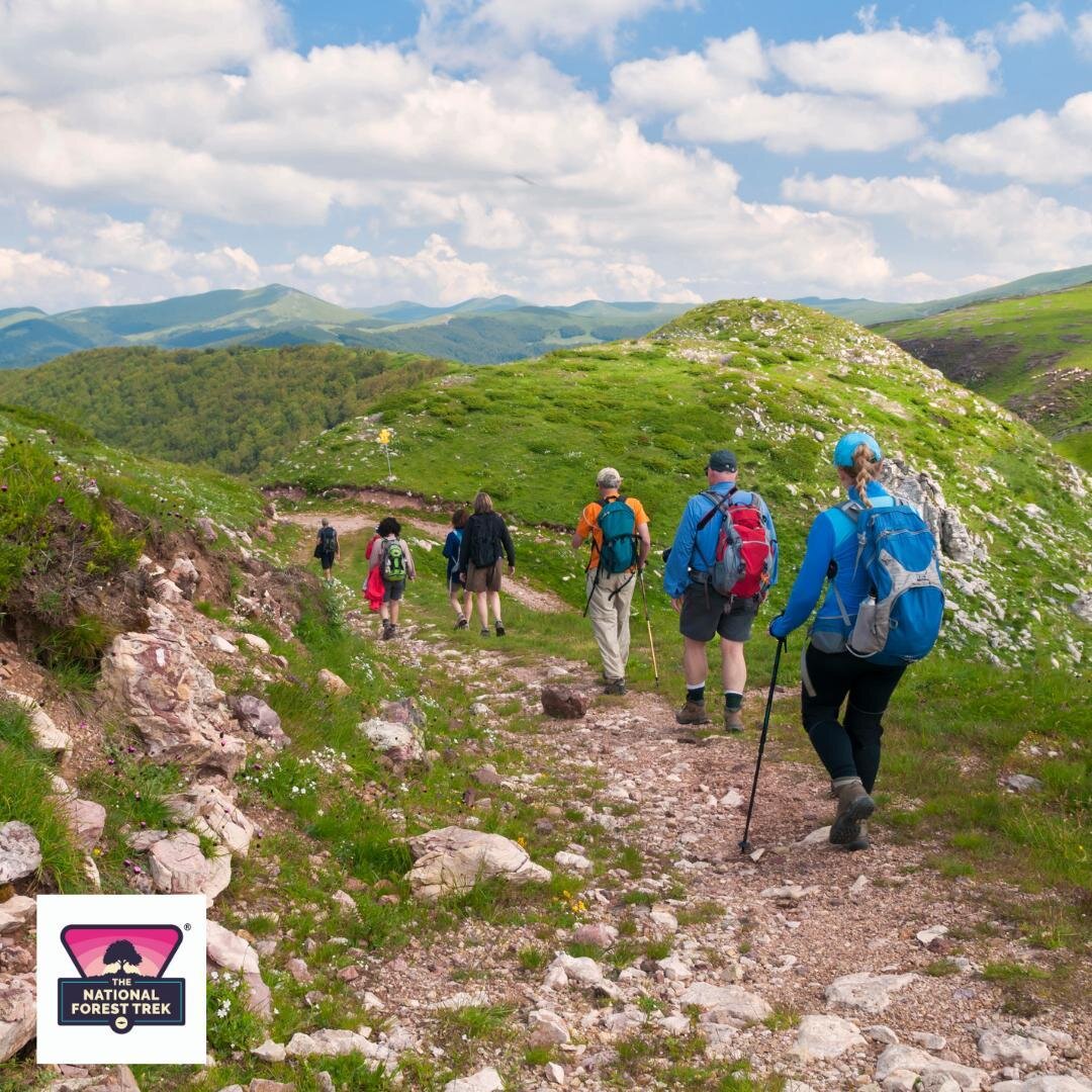 Are you trekking alone?⁠
⁠
Fear not! Carl Benfield will be taking on the 3-day trek in September and has created a team named &quot;Lonely As A Crowd&quot;. ⁠
⁠
He is happy for anyone in the same boat to join his team and enjoy the Trek togethter.⁠
⁠