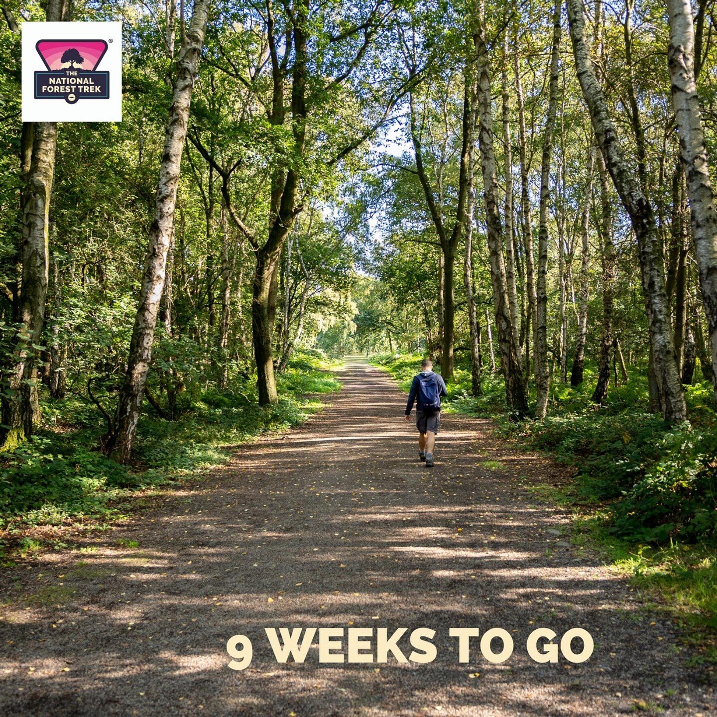 Just 8 weeks to go!⁠
⁠
We are pretty confident of a cooler trek than the temperatures we have been seeing this week.⁠
⁠
There is still time to sign up individually or as a team!⁠
⁠
https://www.nationalforesttrek.co.uk