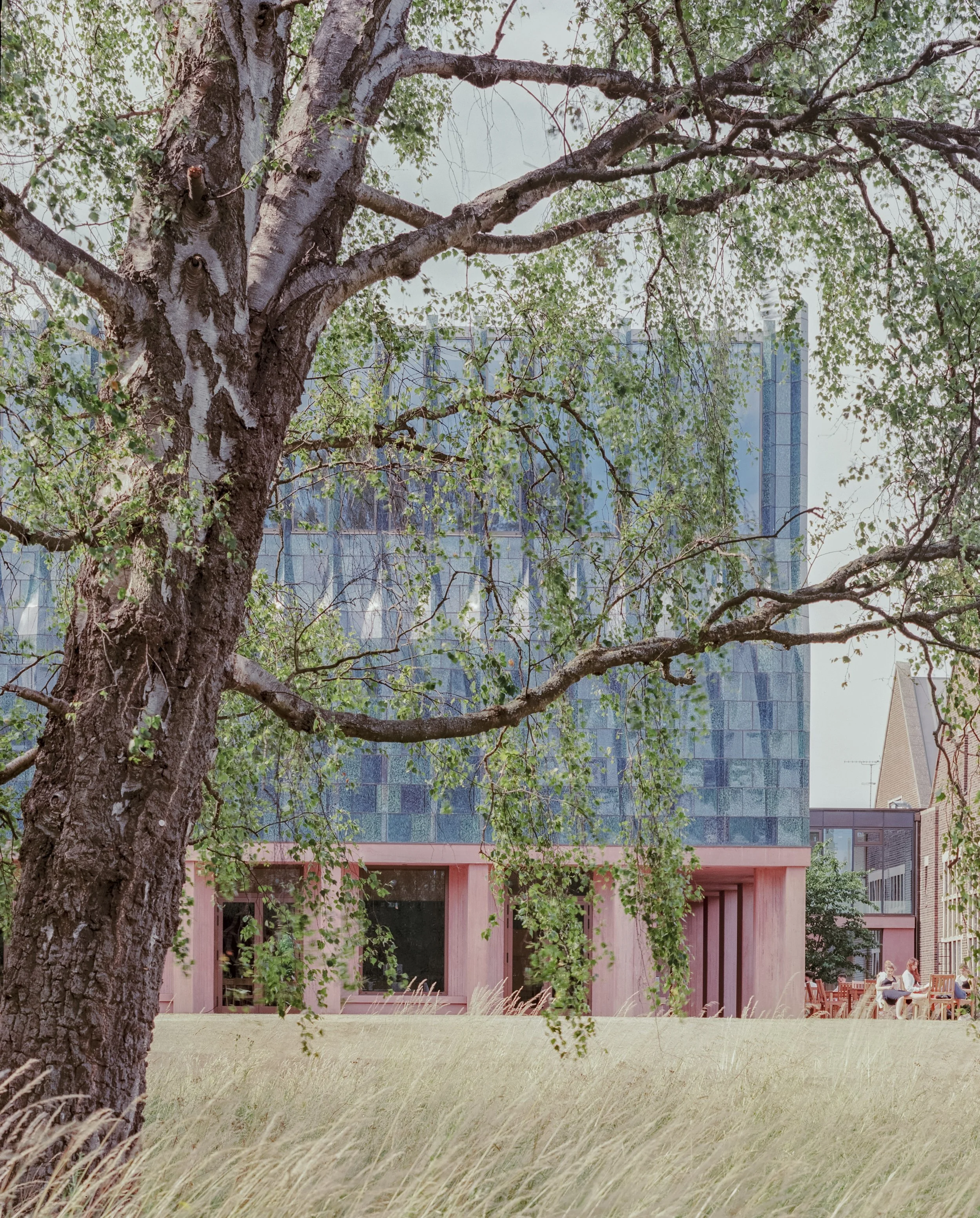 99-Homerton College Dining Hall-Web Res-12.jpg